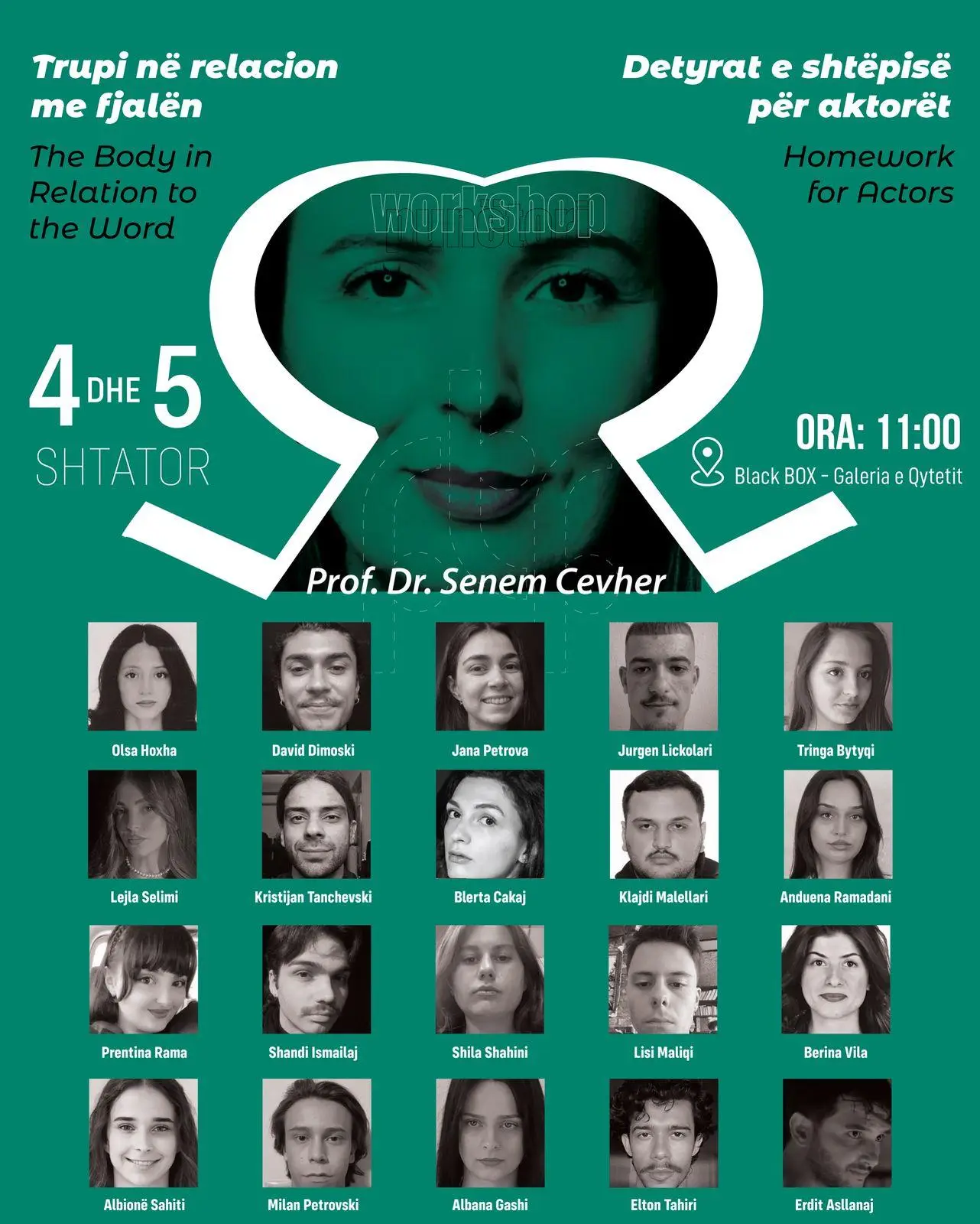 Acting Workshop, Kosovo